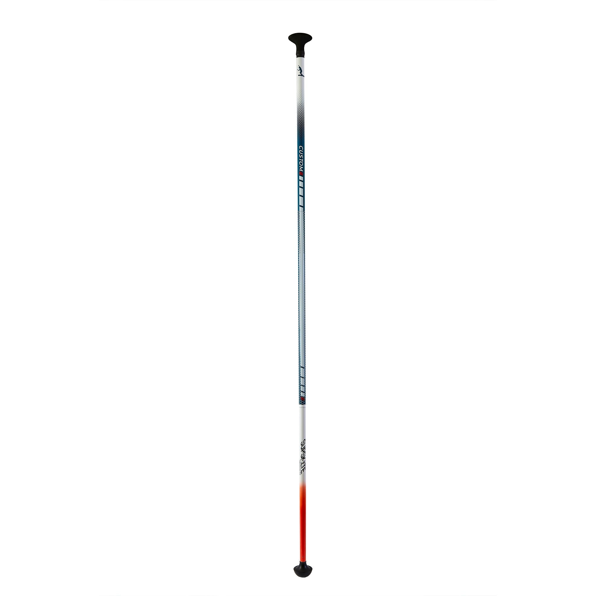 Ski pole with a gradient design in blue and red