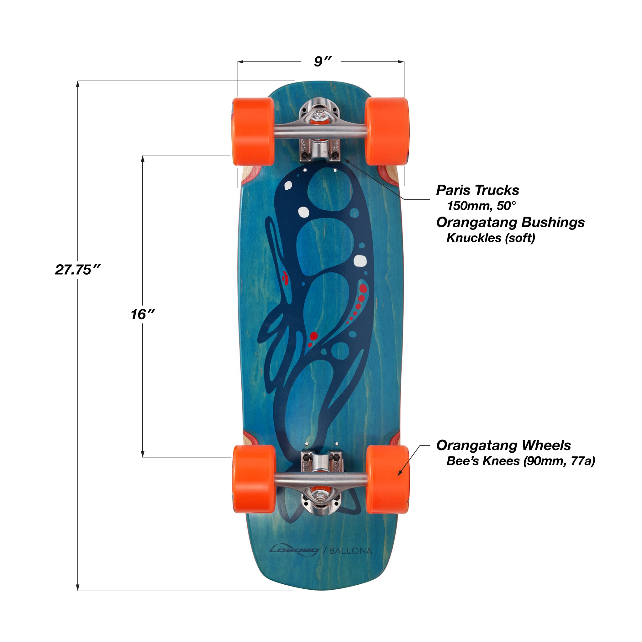 Loaded Ballona Moby Rumblebee complete longboard skateboard setup infographic
