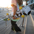 A person carrying a Loaded Ballona Orca longboard skateboard down outdoor concrete stairs at sunset. The skateboard has a white deck with a black and gray abstract graphic, yellow wheels, and silver trucks.