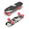 Loaded Ballona Orca Rumblebee complete longboard skateboard