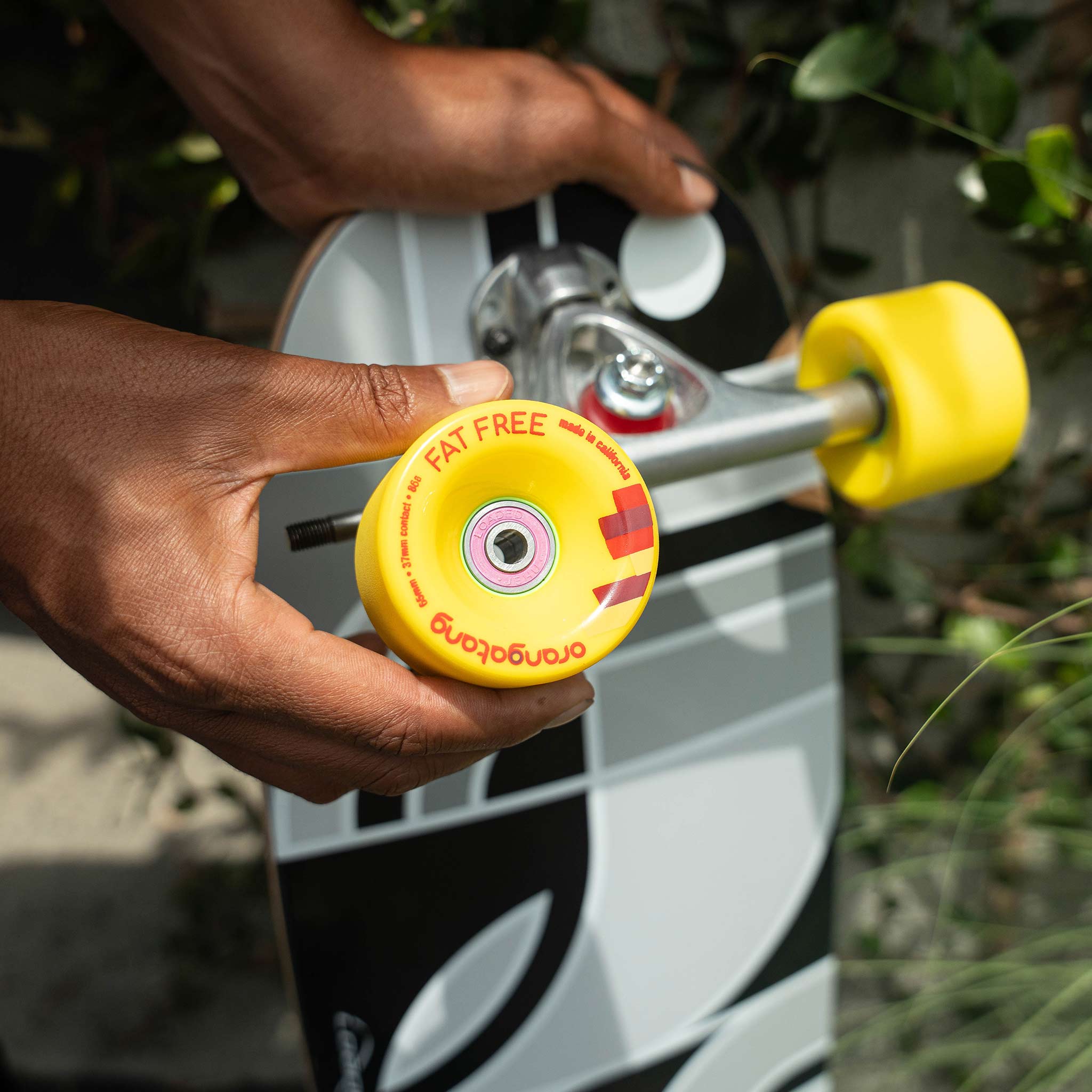 A close-up of a person's hands holding a bright yellow Orangatang Fat Free skateboard wheel, positioned in front of a gray and black skateboard with a yellow wheel and metal truck, set against a blurred outdoor background.