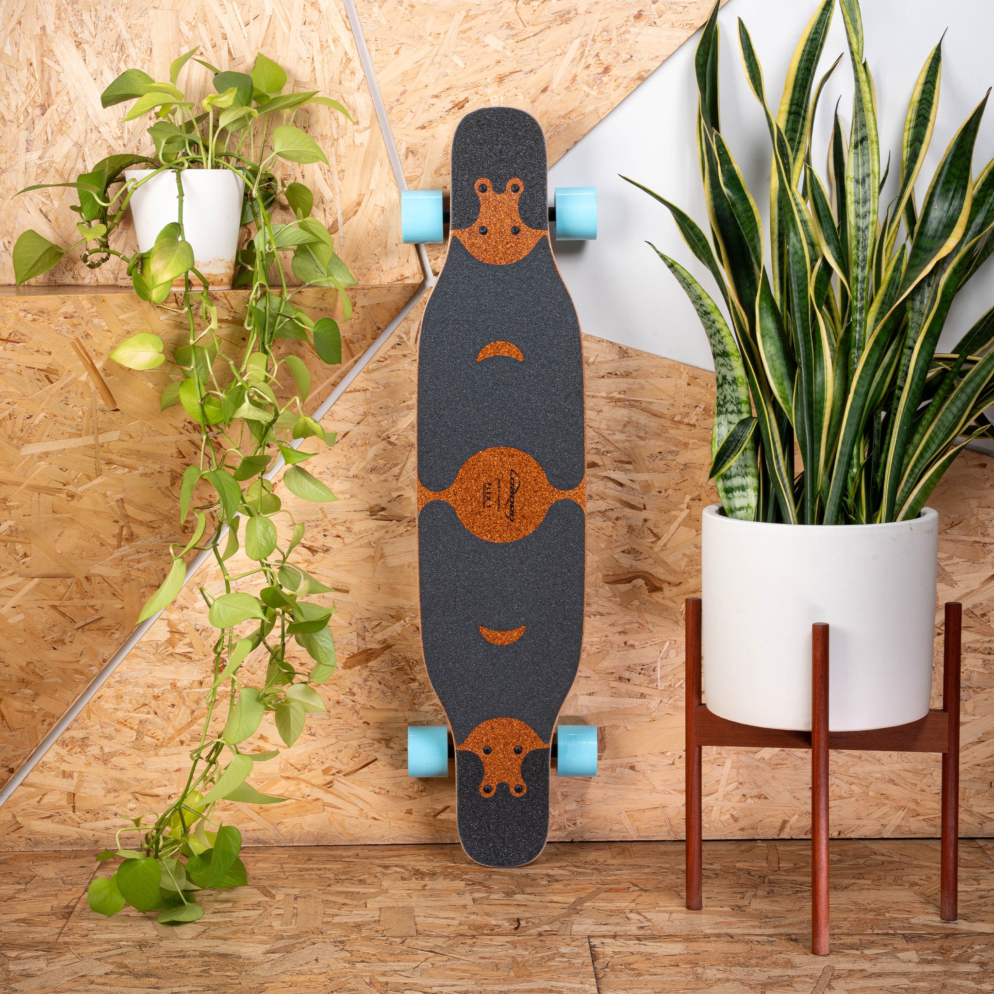 Loaded Symtail (Original graphic) One & Done Complete with Orangatang 4Presidents (83a, purple) - top view
