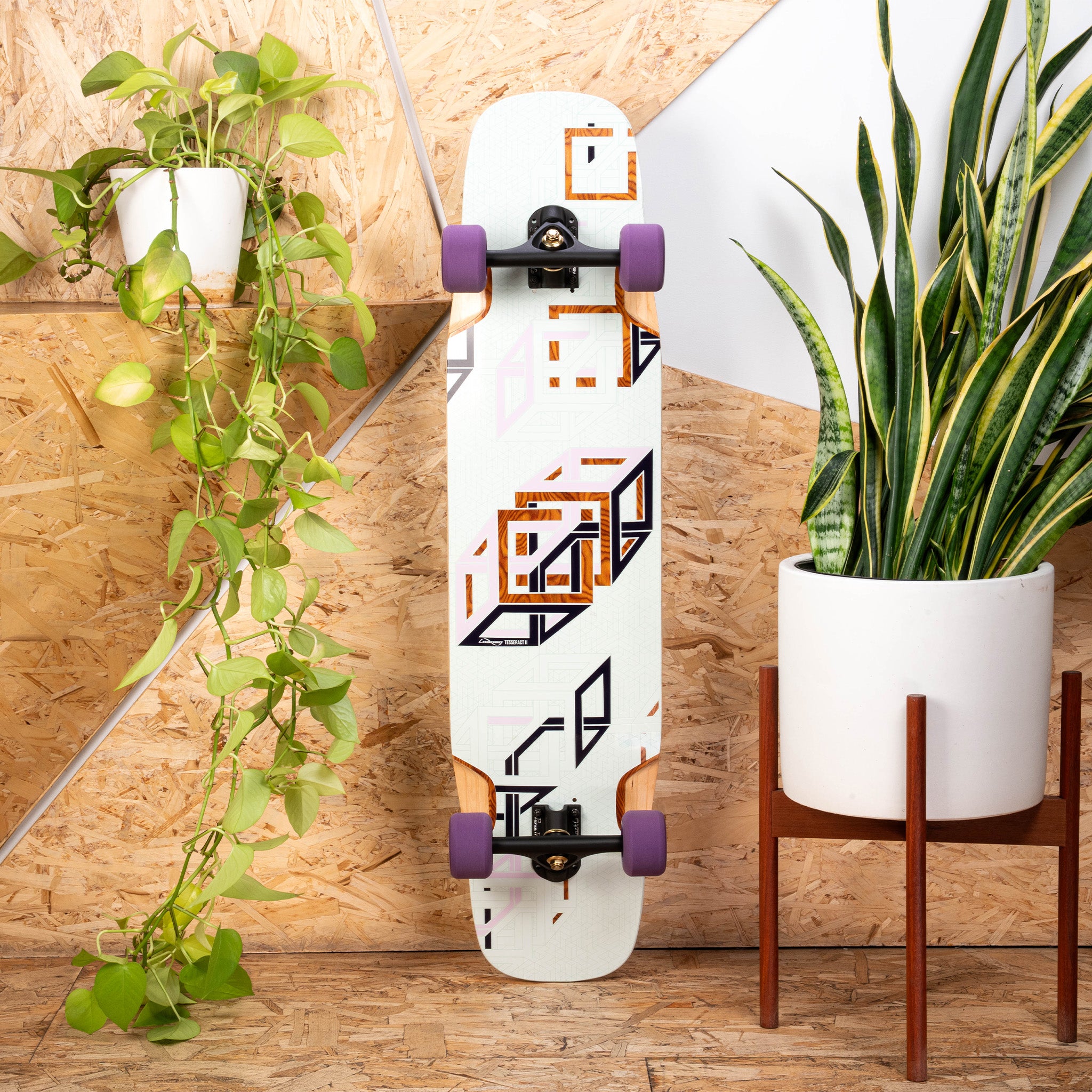 Loaded Tesseract II (Spectra graphic) One & Done Complete with Orangatang Beefcakes (83a, purple) - main view