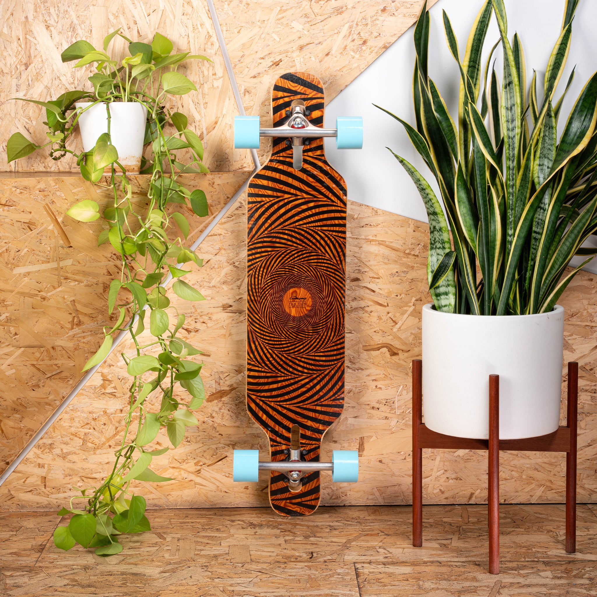 Loaded Tan Tien (007 graphic) One & Done Complete with Orangatang 4Presidents (77a, blue) - main view