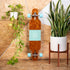 Loaded Tan Tien (Block graphic, Flex 2) One & Done Complete with Orangatang 4Presidents (77a, blue) - main view