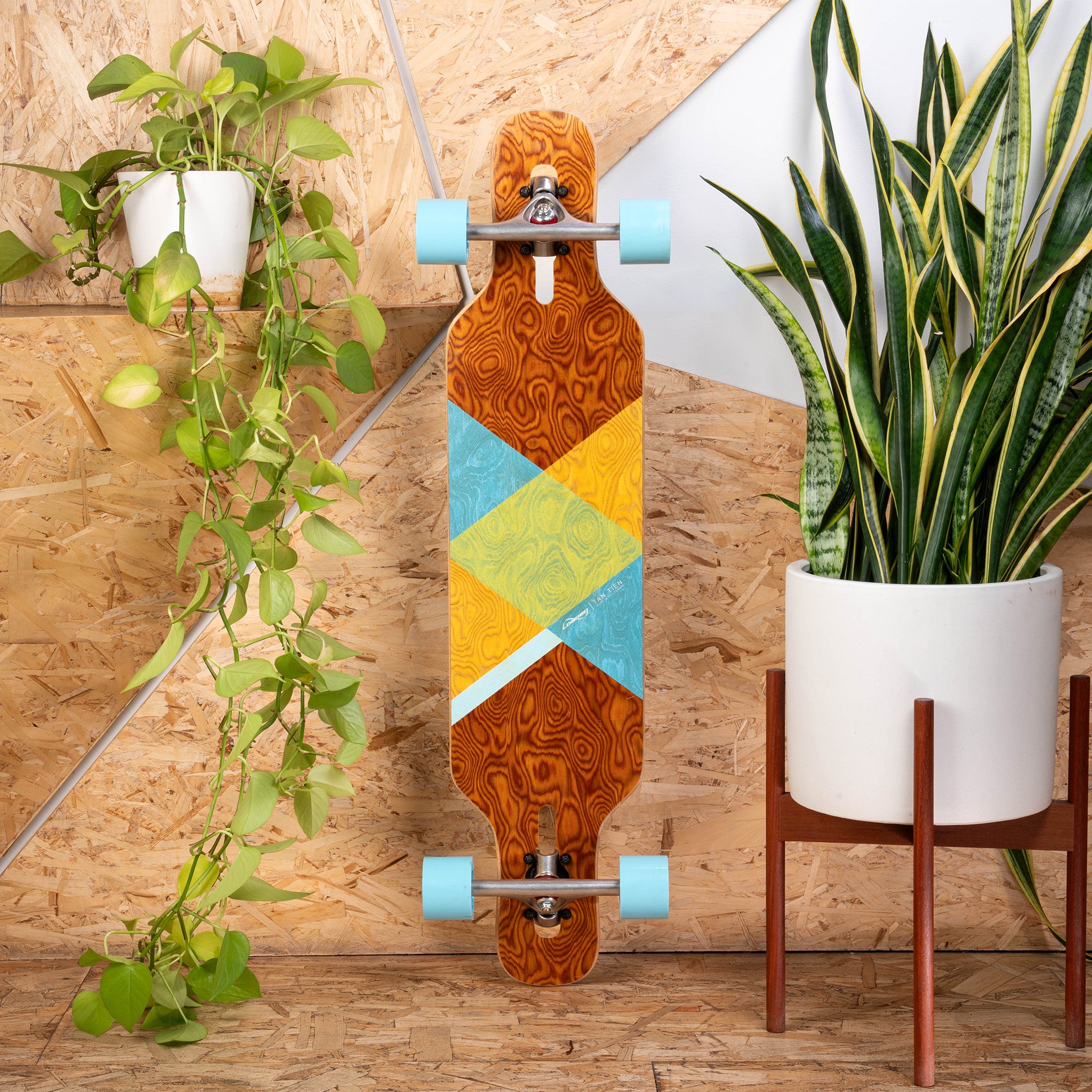 Loaded Tan Tien (Crossroads graphic, Flex 1) One & Done Complete with Orangatang 4Presidents (77a, blue) - main view