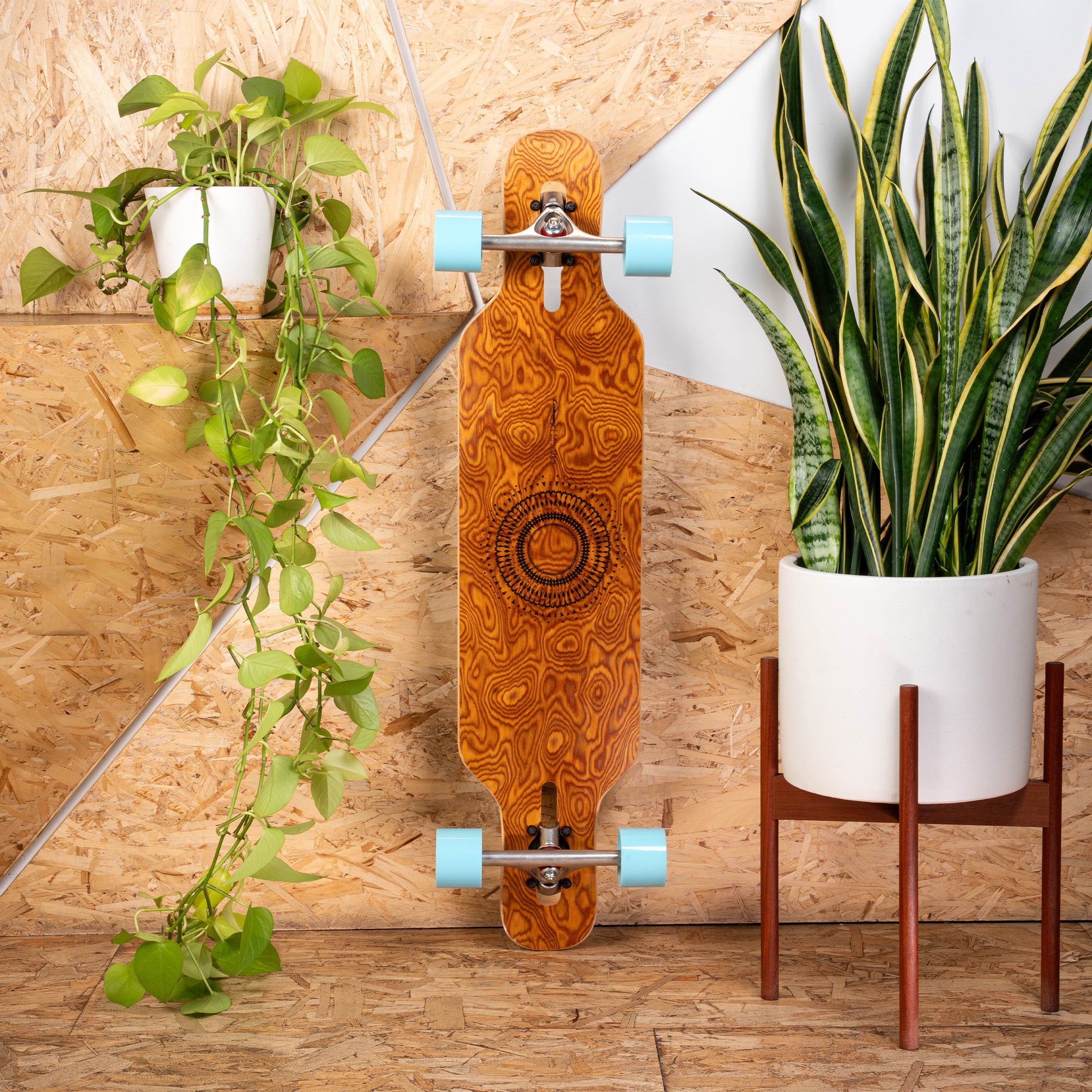 Loaded Tan Tien (Mandala graphic, Flex 2) One & Done Complete with Orangatang 4Presidents (77a, blue) - main view