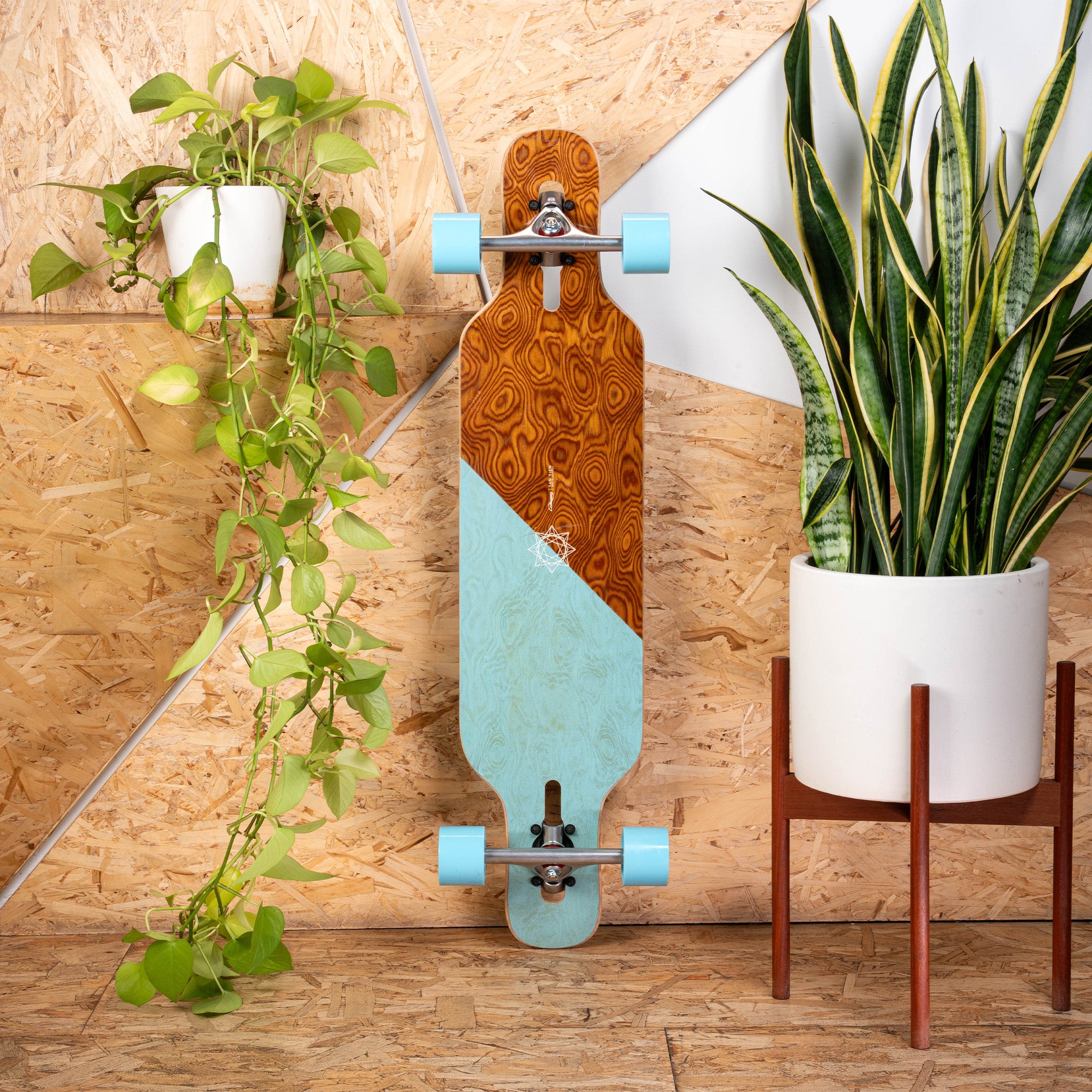 Loaded Tan Tien (Slash graphic, Flex 2) One & Done Complete with Orangatang 4Presidents (77a, blue) - main view